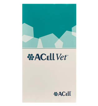 Regeneracja rogówki